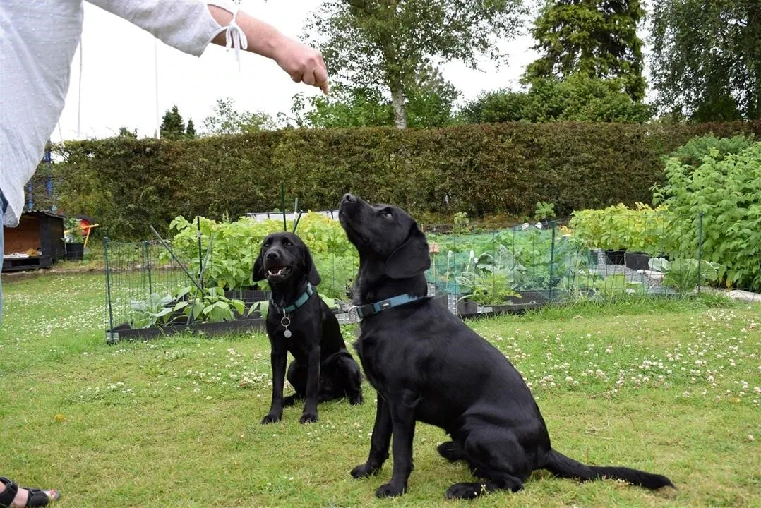 G22.3 last day with mette ian oscar otis assens (9)